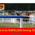 Ewald Wurm CAI-A Altenfelden Driving TEAM, he had some Marathon Problem in Obstacle 7.....at CAI-A Topolcianky